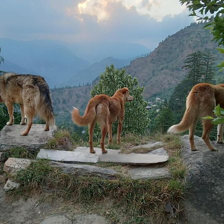 Soulville 2.0 Nagar (Himachal Pradesh) Exterior foto