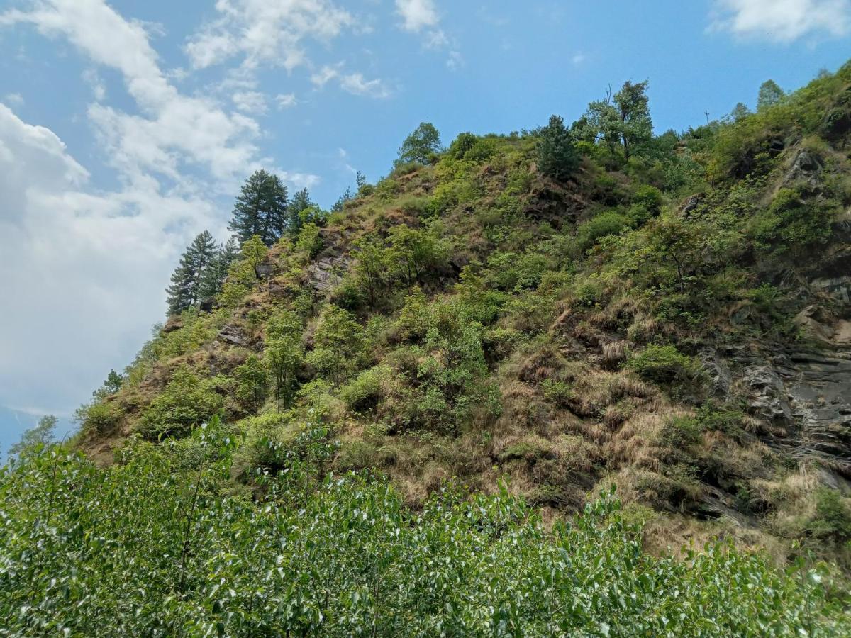 Soulville 2.0 Nagar (Himachal Pradesh) Exterior foto