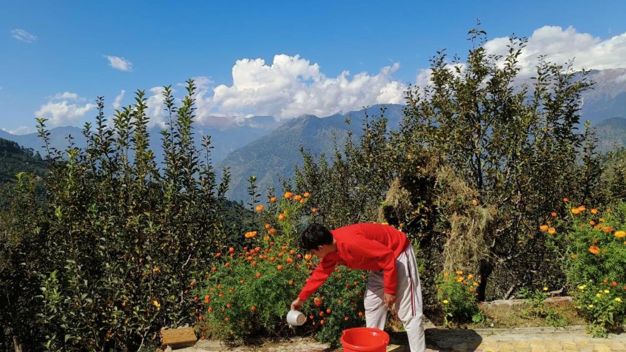 Soulville 2.0 Nagar (Himachal Pradesh) Exterior foto