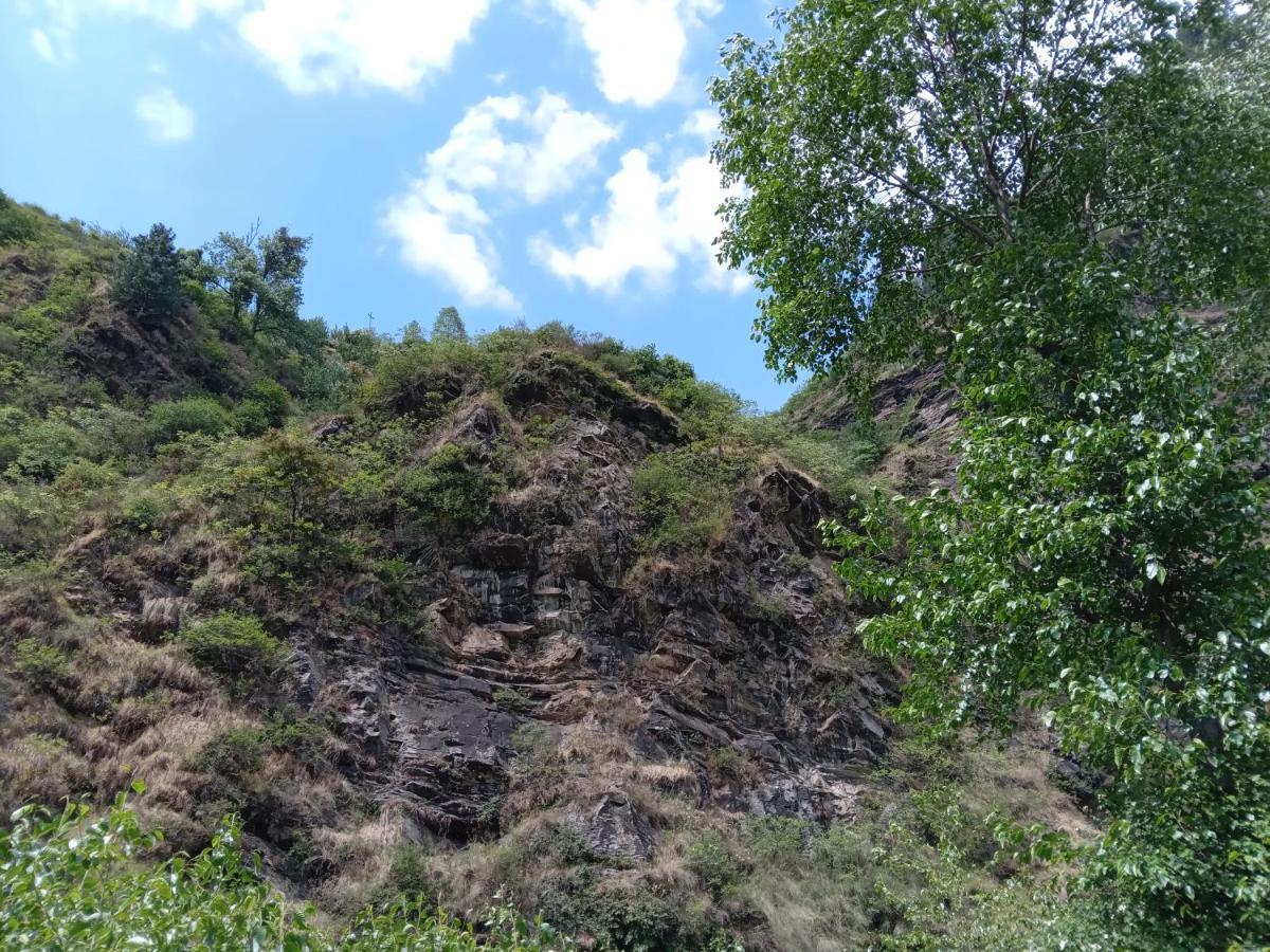 Soulville 2.0 Nagar (Himachal Pradesh) Exterior foto